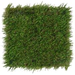 View SportsGrass® Revolution